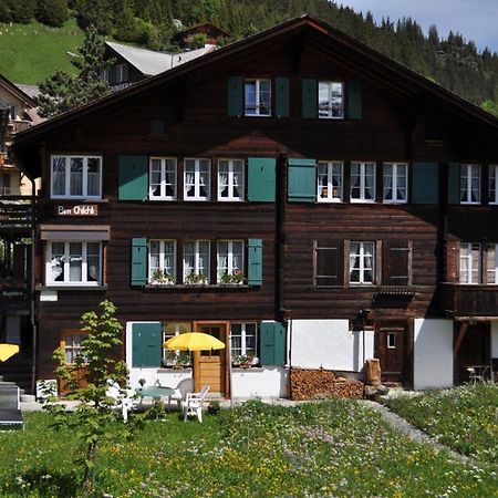 Studio bim Chalet bim Chilchli Mürren Dış mekan fotoğraf