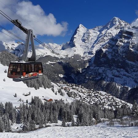 Studio bim Chalet bim Chilchli Mürren Dış mekan fotoğraf