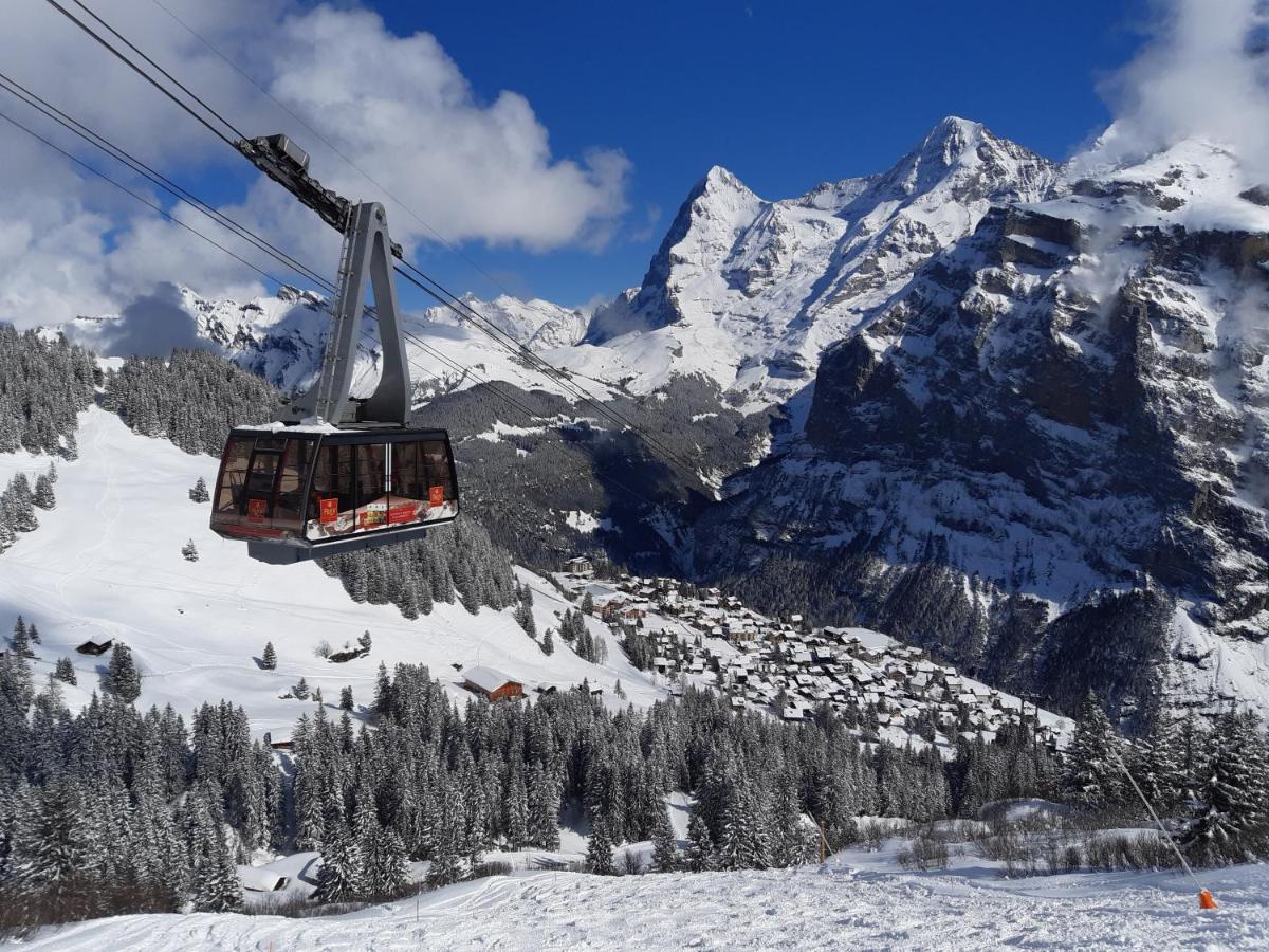 Studio bim Chalet bim Chilchli Mürren Dış mekan fotoğraf
